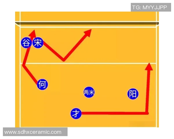 杭州排球队的战术演变与球员转换深度解析