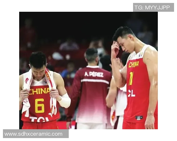 杭州篮球队在世界杯中的战术解析与表现评估