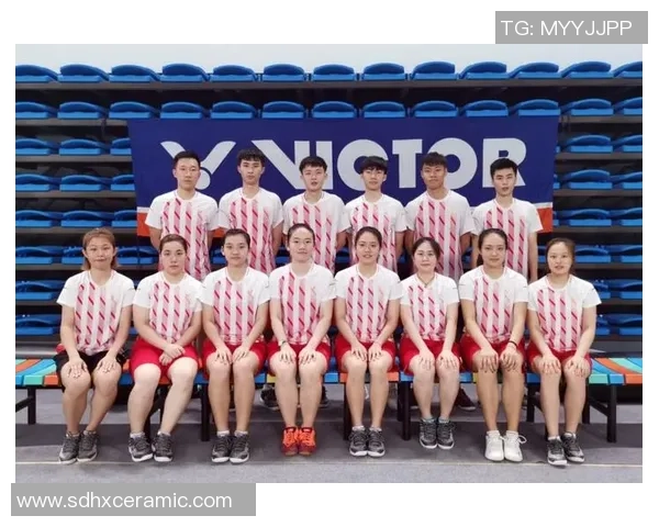 杭州羽毛球队与南京羽毛球队实力对比赛后分析与总结