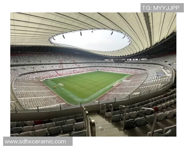 西安足球队在总决赛中的实力展现与未来发展潜力分析