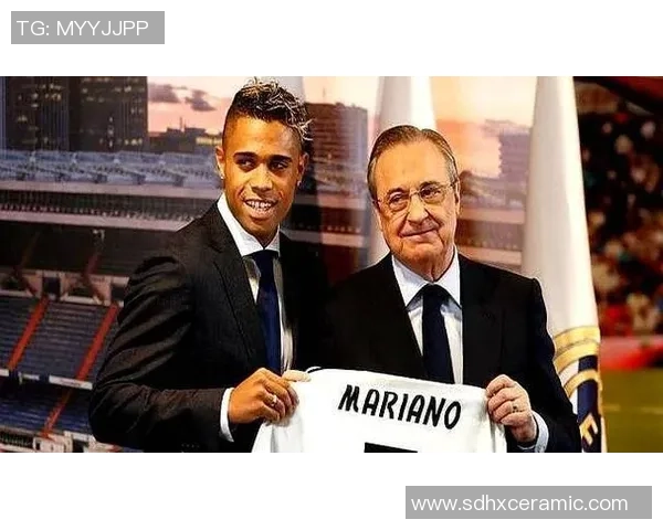 足球明星的女婿们都有哪些人他们的故事和成就揭秘