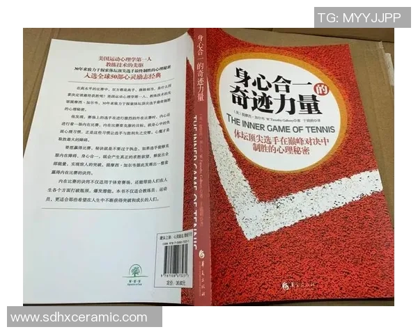 重庆网球队的节奏体系与网球战术的深度解析与应用探讨